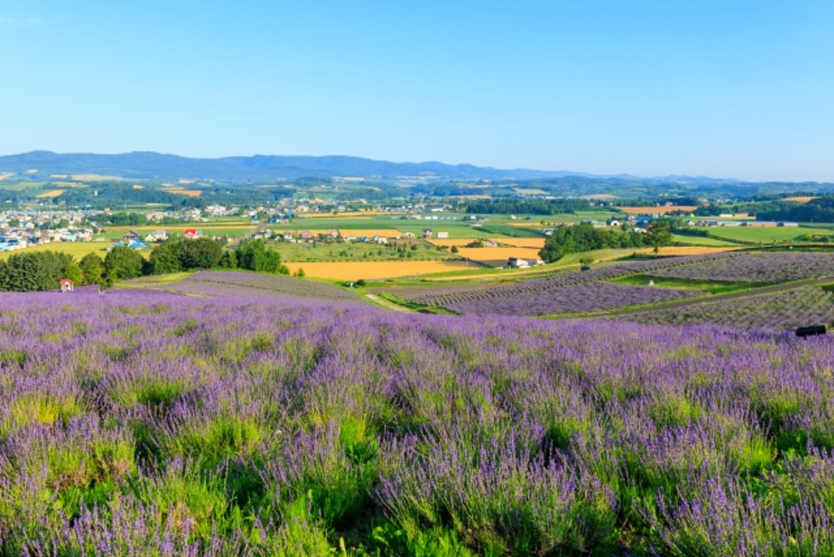 警備の仕事マガジン by ケイビー|【2025年秋版】北海道の警備会社 ！売上ランキングを徹底解説！：業界動向と選び方